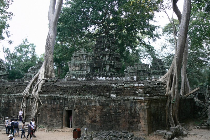 29 Siem Reap